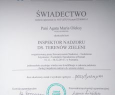 Nadzór inspektorski